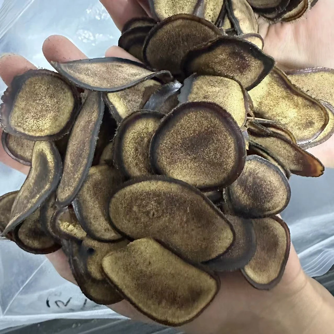 鹿茸片 含血足蜡质好半腊片 泡水泡酒煲汤