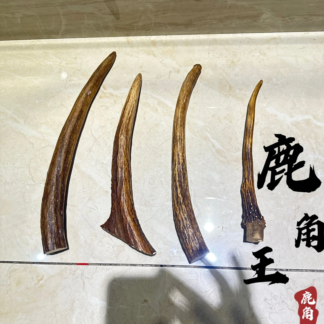 鹿角摆件 雕刻 手把件纯手工