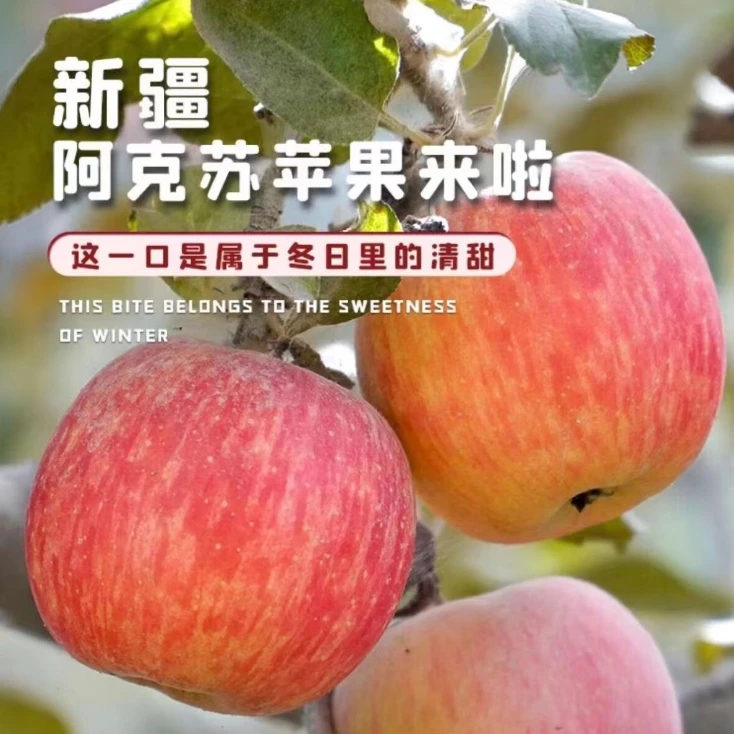 【新疆直发】新疆正宗阿克苏冰糖心苹果甜当季精心挑选