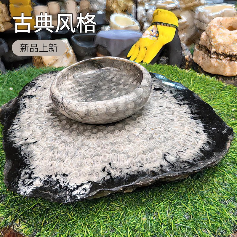 天然奇石珊瑚海绵画石花盆干泡台摆件桌面鱼缸直播间一物一拍