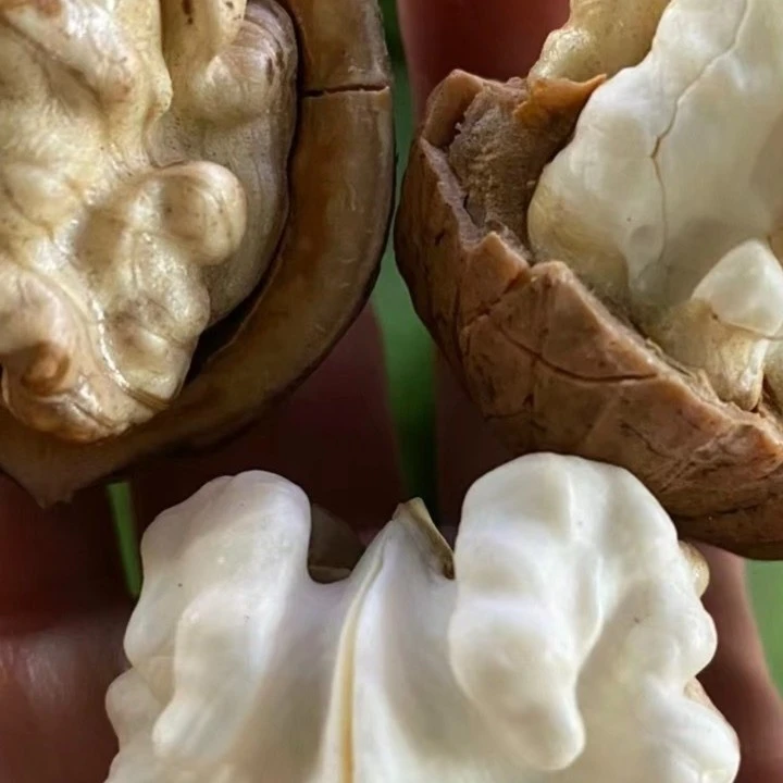 （高端）A级大果4斤云南老树核桃 甘甜 皮薄