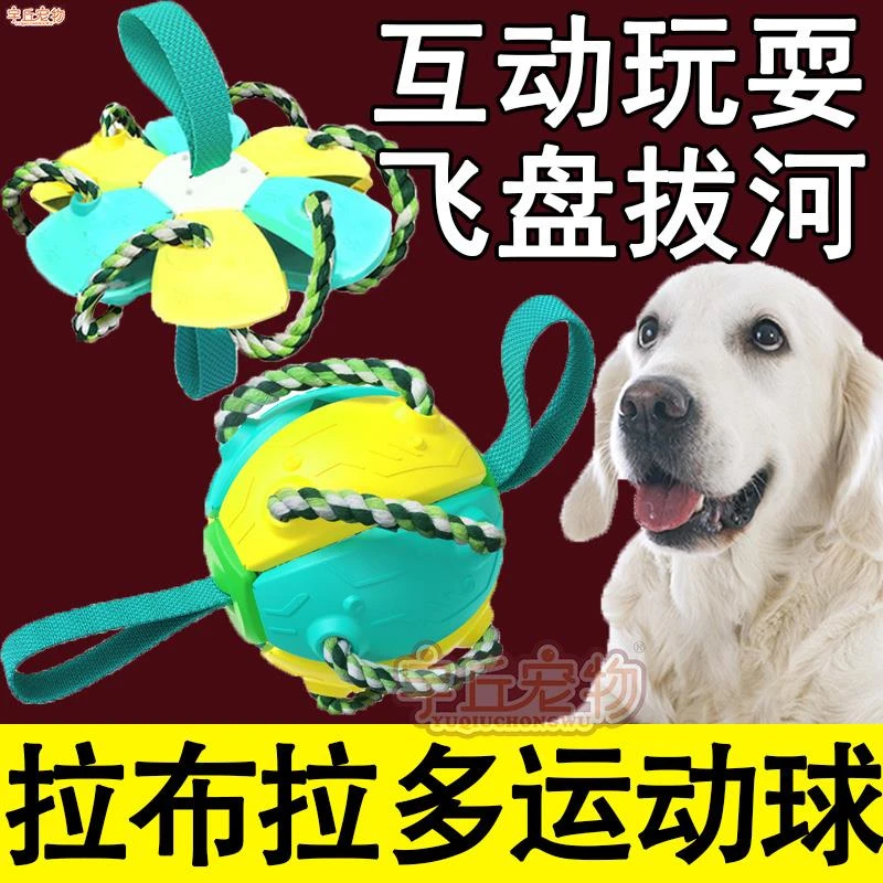 拉布拉多狗狗专用足球玩具幼犬自己玩的球球飞盘磨牙耐咬解闷神器