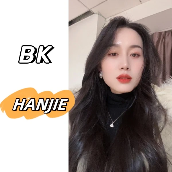轻奢BK25-30时尚简约百搭女士手提包