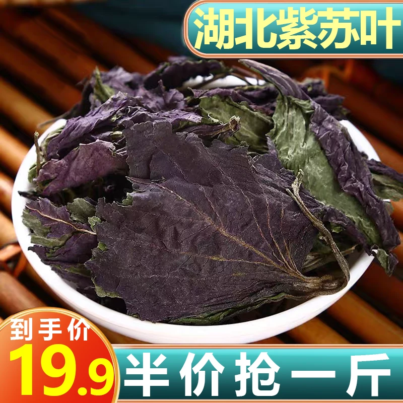 13.9抢1袋】紫苏叶湖北特产批发干货香苏叶烧鱼虾蟹去腥调味料香料