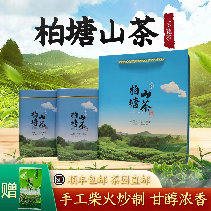 柏塘山茶禾花茶广东十大名茶惠州博罗客家特产浓香绿茶罗浮山茶叶