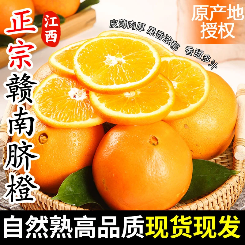 正宗赣南脐橙新鲜皮薄赣南脐橙冰糖赣南橙子脐橙江西赣南江西赣南