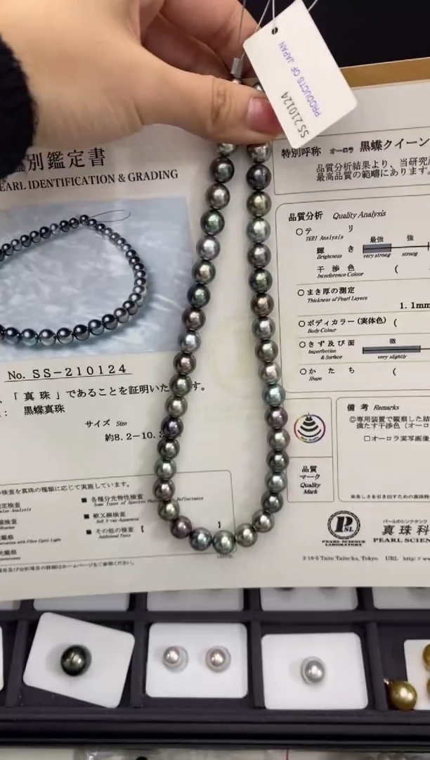 【闪购商品】海水珍珠项链未镶嵌8-11mm黑蝶皇后拍三单发一条