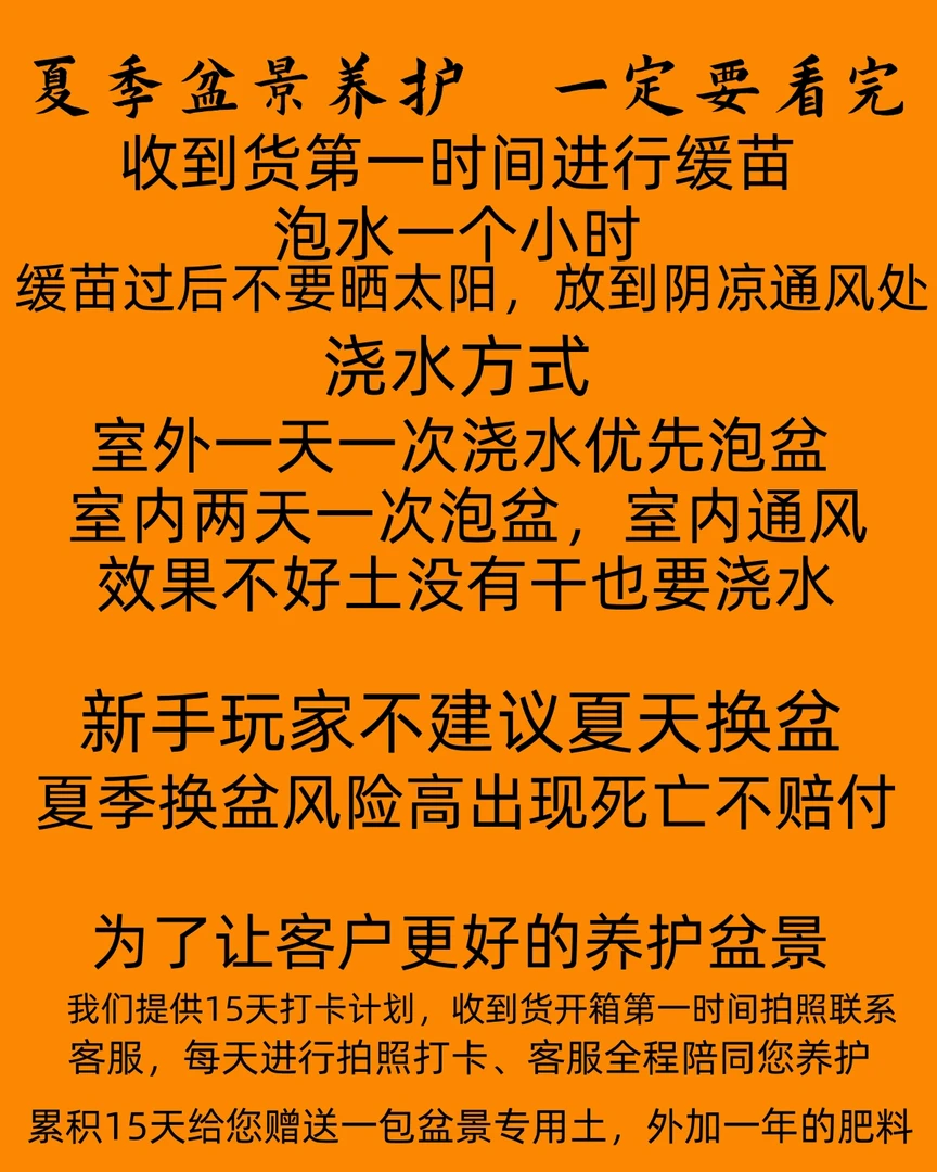 「夏日盆景养护小知识青年八极拳」