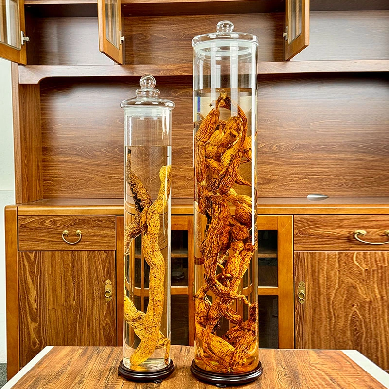 牛大力泡酒专用酒瓶硅胶密封人参泡药酒高硼硅玻璃容器瓶子家用