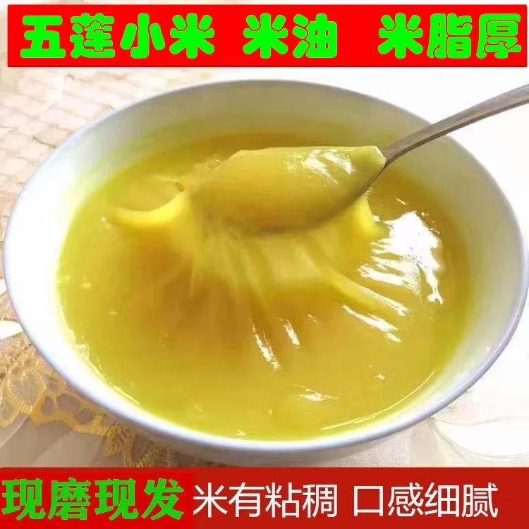 2025年山东日照五莲优质小米粥黄小米特产月子米米脂厚 五莲特产