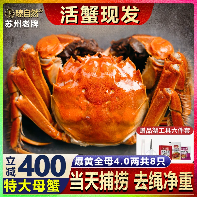 【活蟹现发】臻自然阳澄湖大闸蟹全母蟹4.0两共8只鲜活大闸蟹顺丰