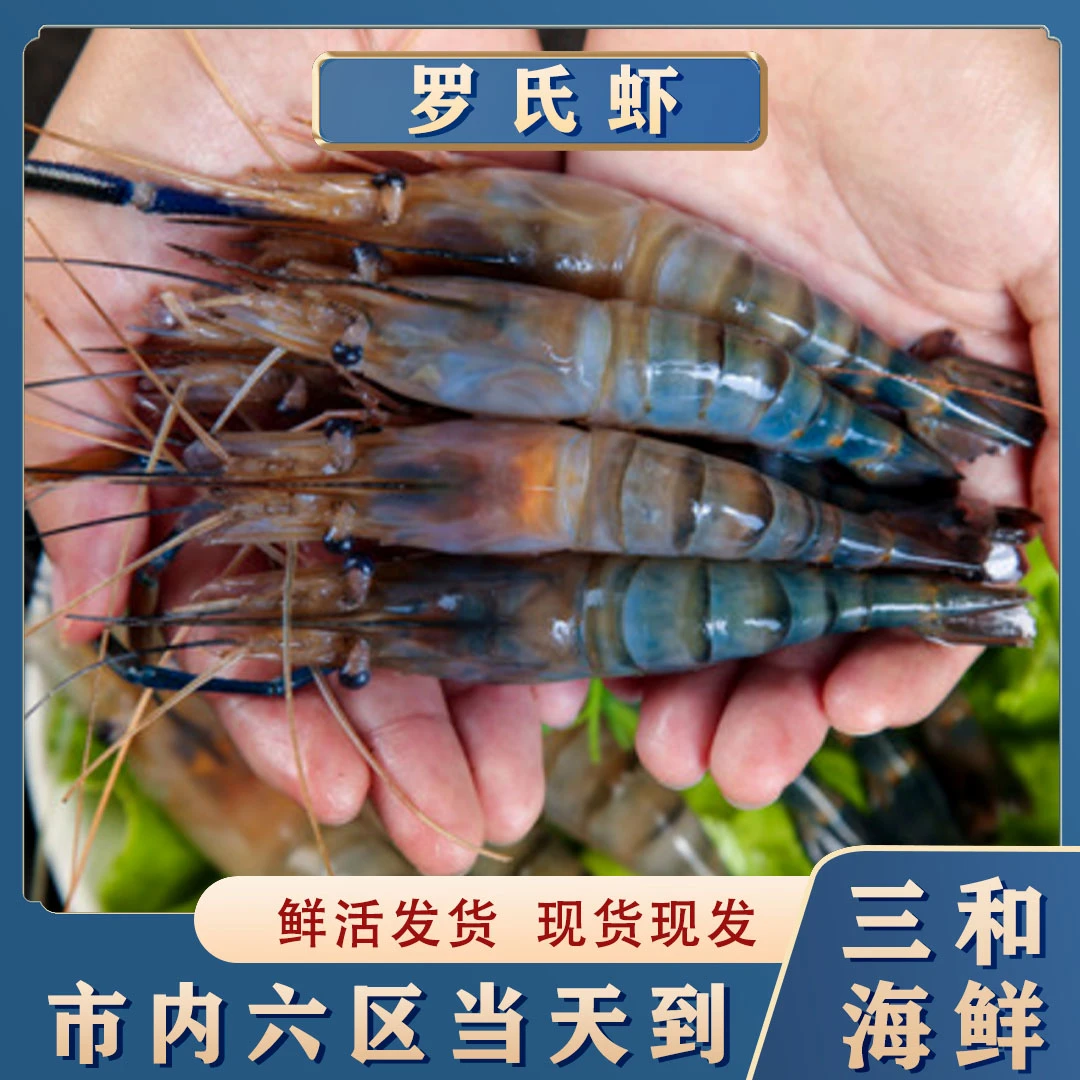 【保鲜不保活】罗氏虾 三和海鲜 同城当天到