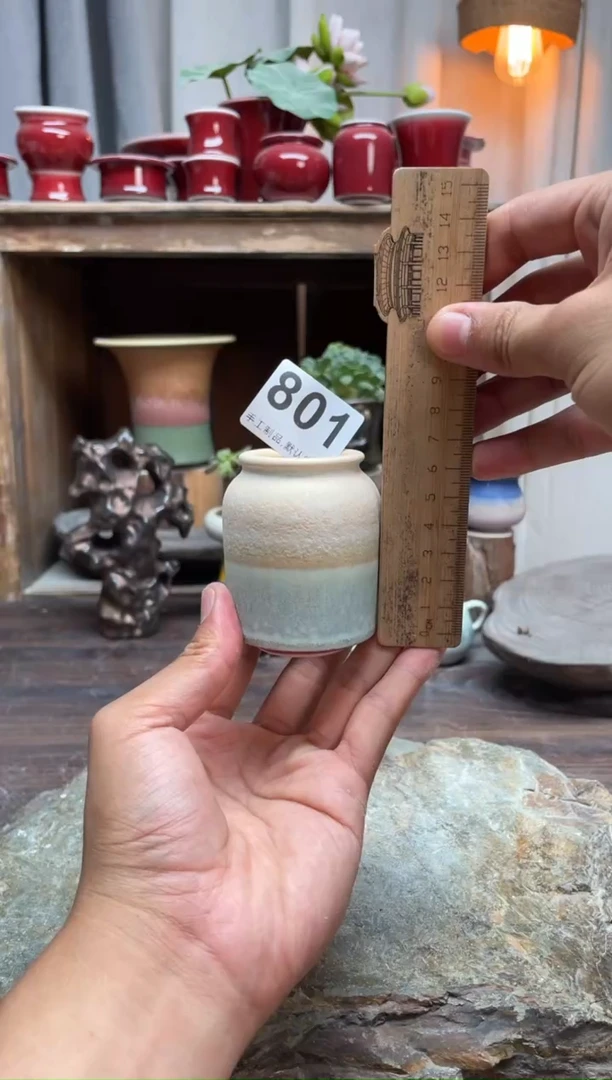 【闪购商品】摆件801小芳花盆直播链接