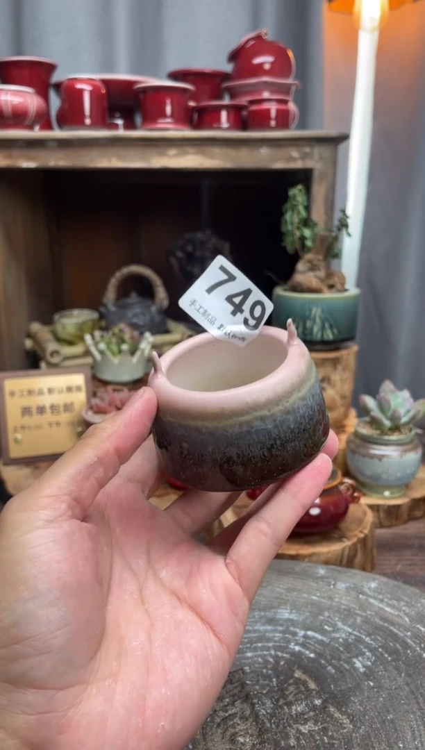 【闪购商品】摆件749知木小芳花盆
