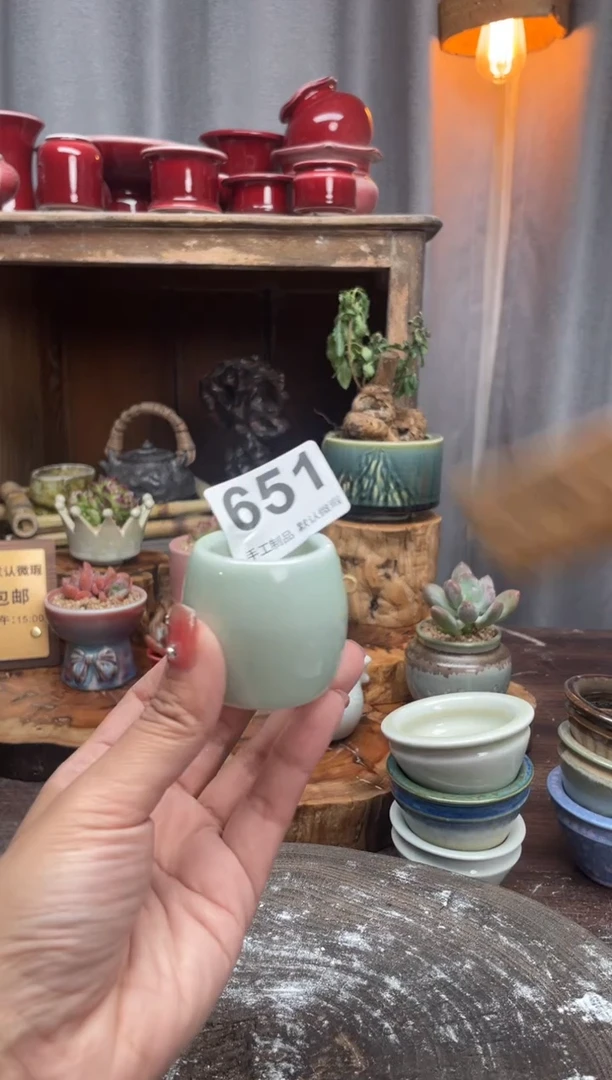 【闪购商品】摆件651小芳花盆直播编号
