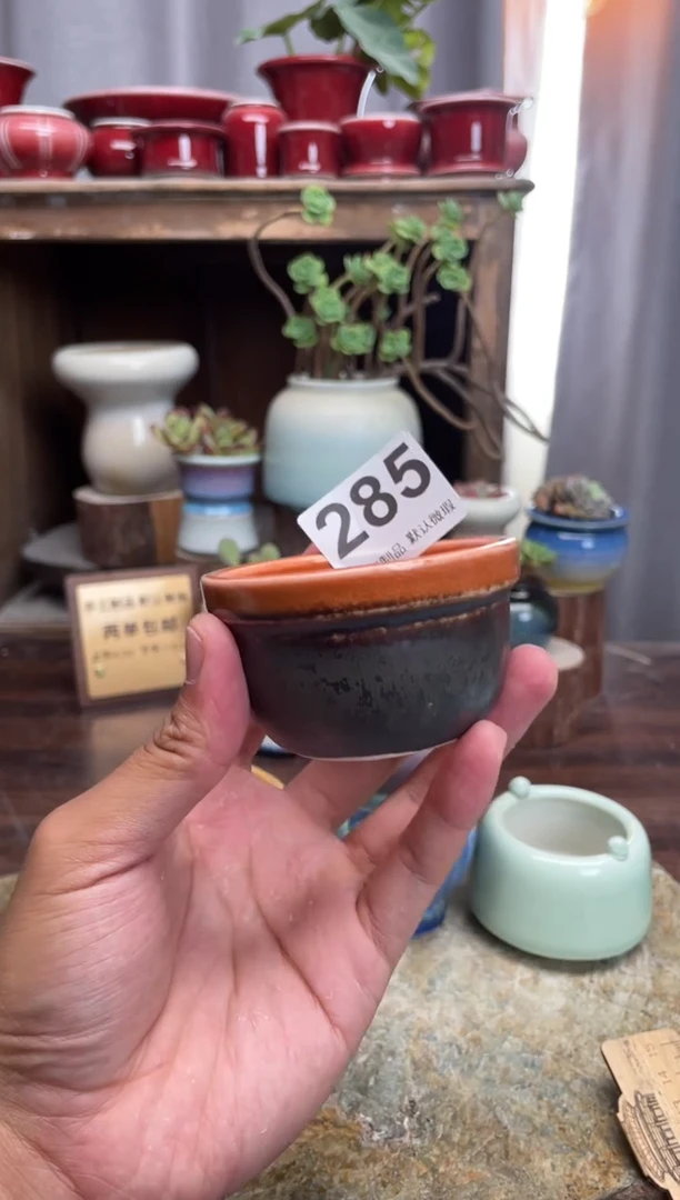 【闪购商品】摆件285知木小芳花盆