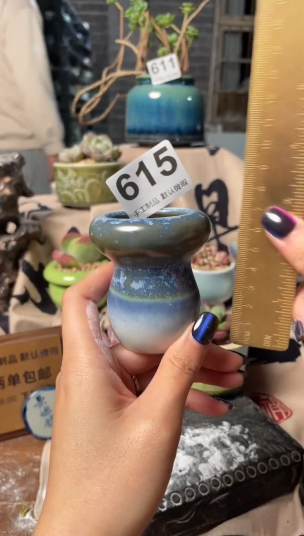 【闪购商品】摆件615知木小芳花盆