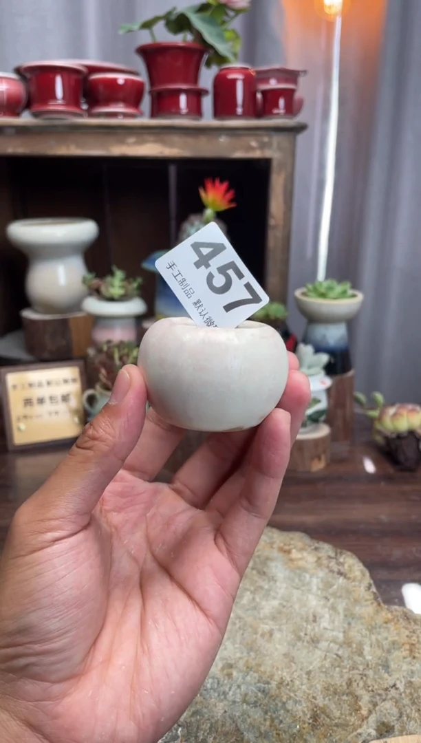 【闪购商品】摆件457知木小芳花盆