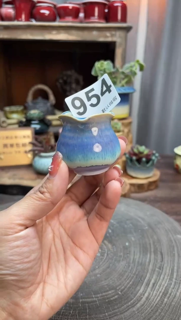 【闪购商品】摆件954小芳花盆直播编号