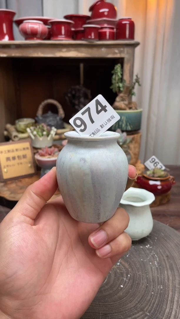 【闪购商品】摆件974小芳花盆直播链接