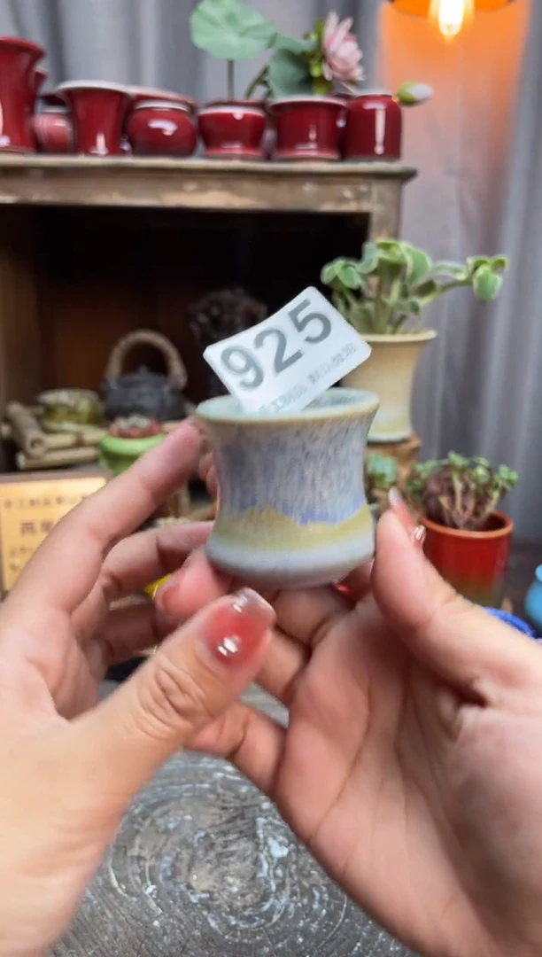 【闪购商品】摆件925小芳花盆直播编号