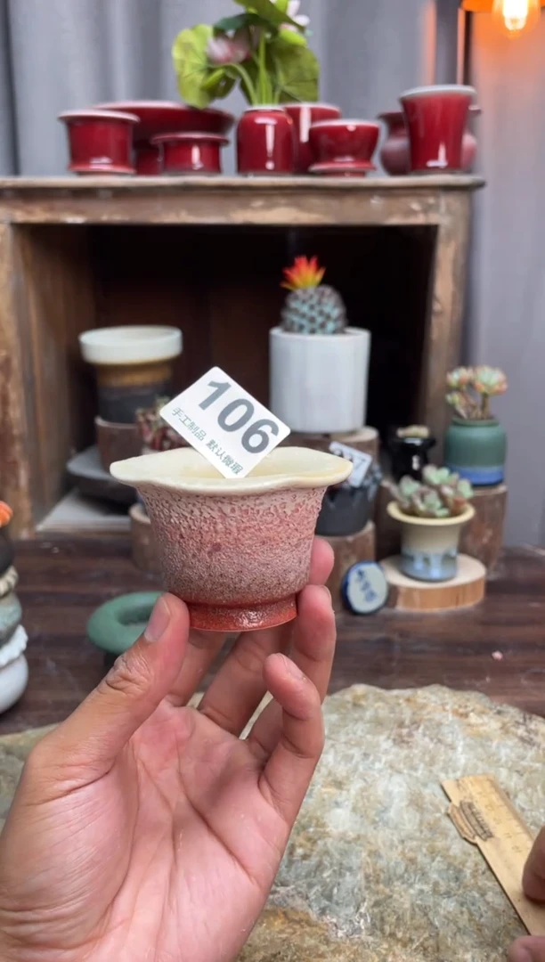 【闪购商品】摆件106知木小芳花盆