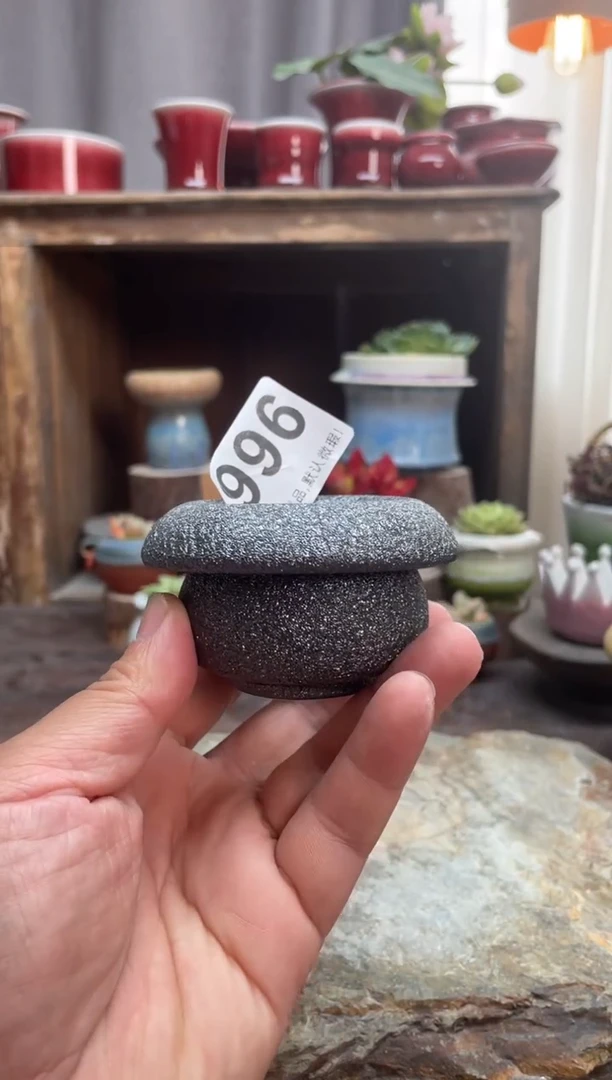 【闪购商品】摆件996知木小芳花盆
