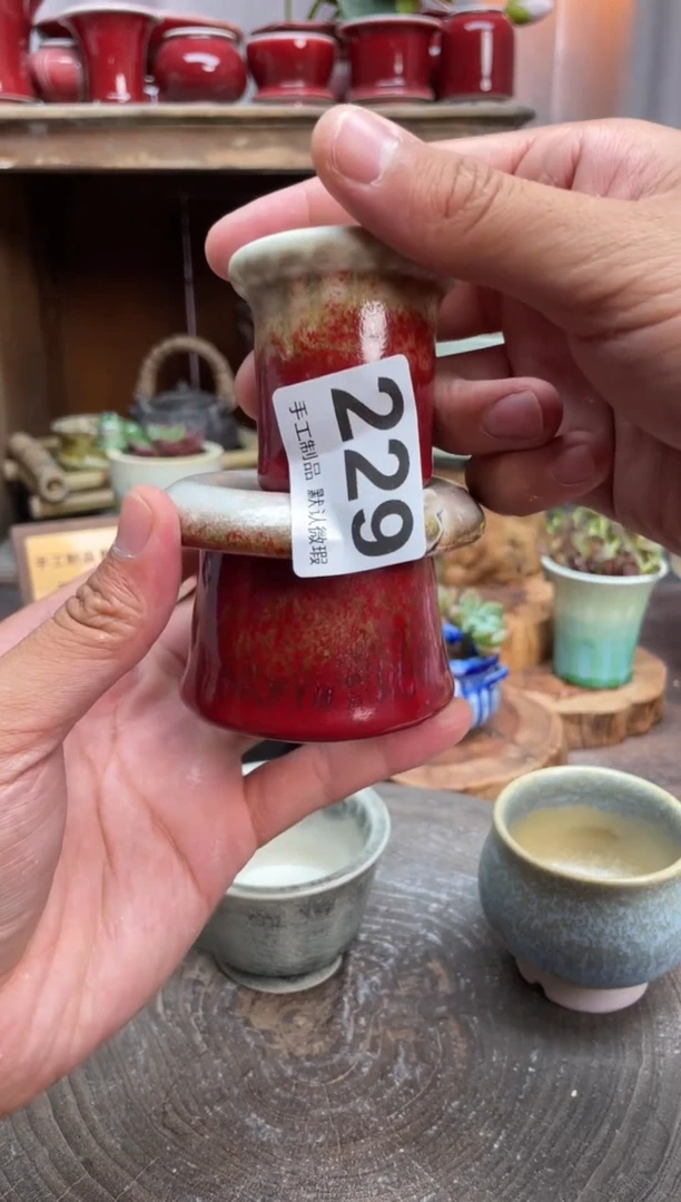 【闪购商品】摆件229知木小芳花盆