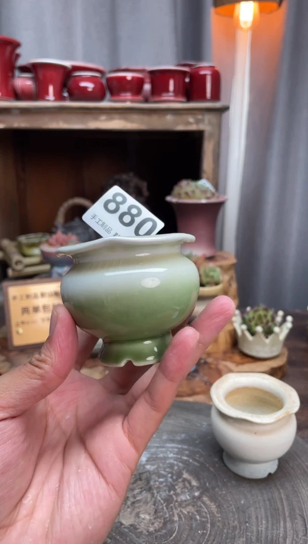 【闪购商品】摆件880知木小芳花盆