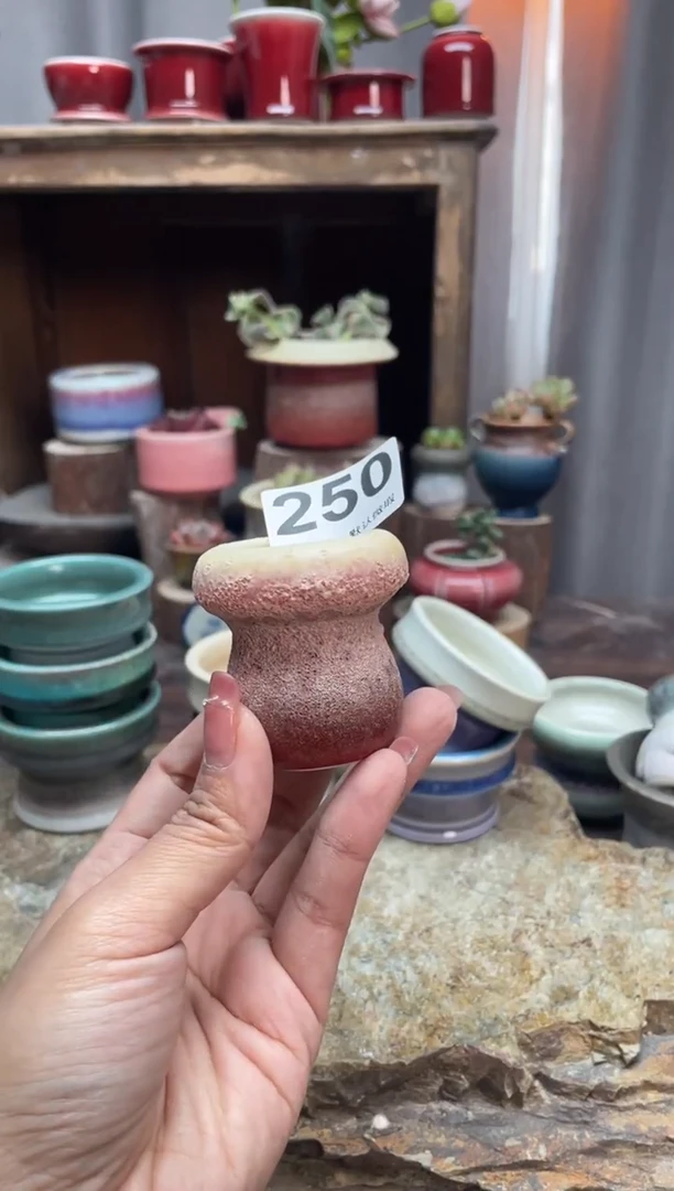 【闪购商品】摆件250知木小芳花盆