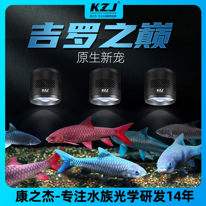 康之杰LED吉罗之巅原生版/增艳版吉罗专用筒灯原生鱼专用灯