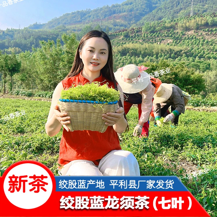 平利绞股蓝七叶龙须茶精选参味皂甙黄酮茶品质正宗清香型回味