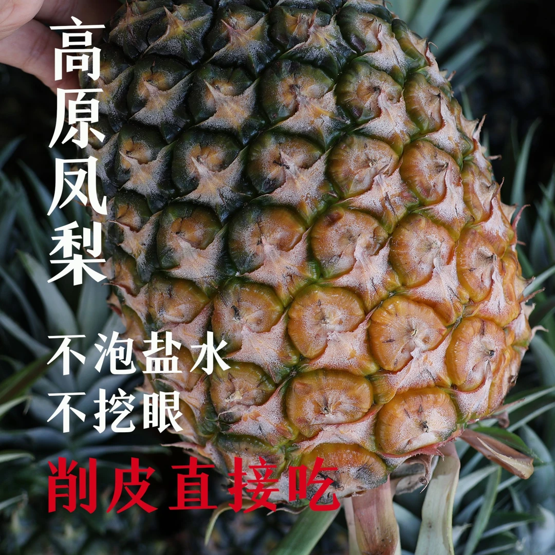 云南高原生态凤梨清甜爽口眼浅果味浓不泡水直接吃 5/9斤新鲜采摘
