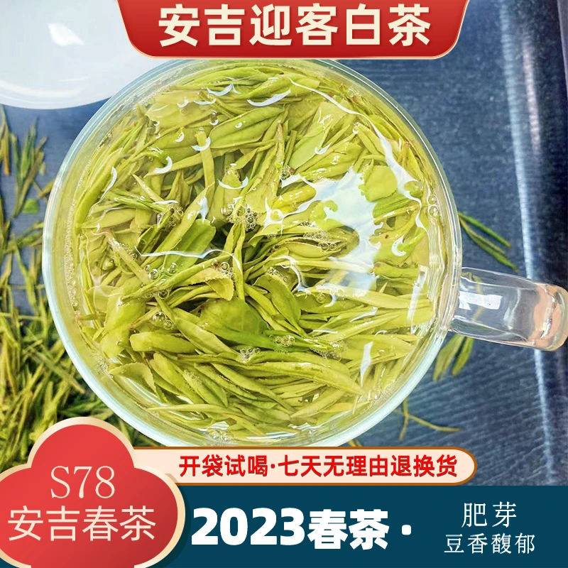 老茶客优选23年春茶 豆香浓香 耐泡浓香型
