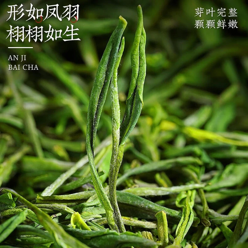安吉早春高山24年新茶鲜爽装珍稀白茶雨前春茶送礼兰花香馥郁耐泡