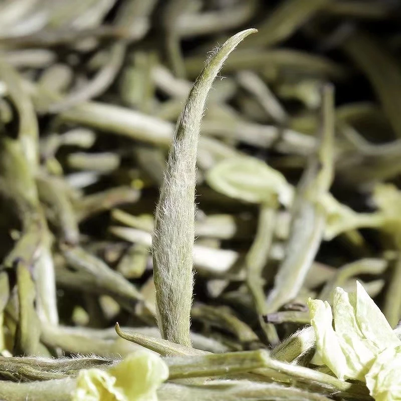 银针2025新茶甘甜茉莉花茶浓香正宗单芽茉莉雪芽甘甜特级茶叶春茶