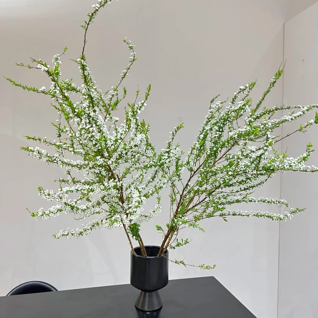 【奔波儿霸鲜花】鲜切雪柳冬季花材，客厅插花高级感满满