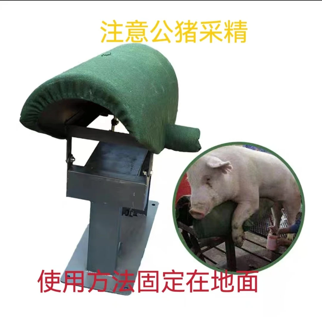 采精设备假母台人工受精公猪授精采精台耐用调节结实定制材质烤漆