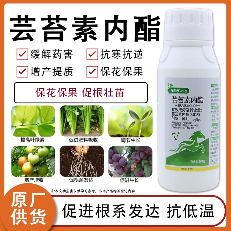 28表芸苔素内酯生根壮苗增产抗旱抗冻小麦调节剂芸苔素农用叶面肥