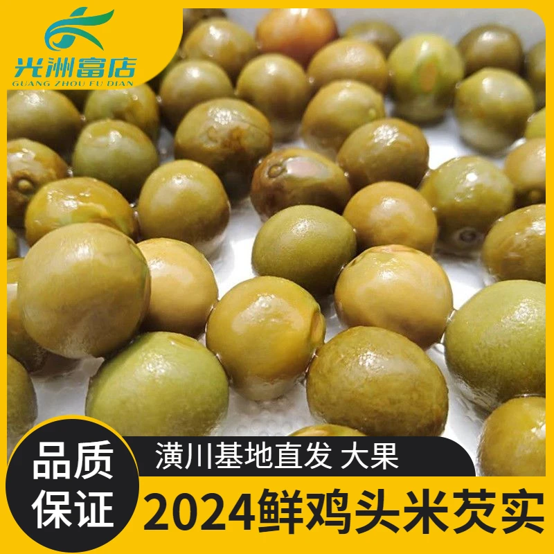 鸡头米芡实2024年新鲜采摘河南信阳潢川土特产特级鸡头果大果
