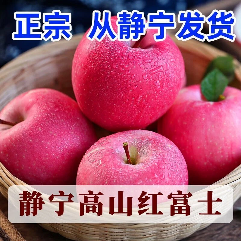 甘肃静宁红富士80mm 现采现摘 源头产地发货 甜苹果