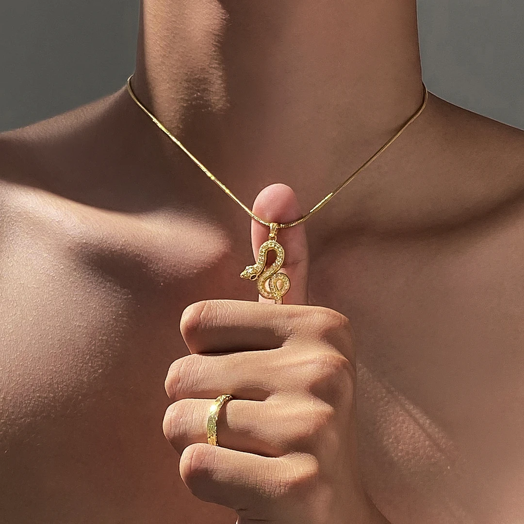钛钢项链 生肖蛇吊坠项链男小众设计锁骨链高级感可调节毛衣链
