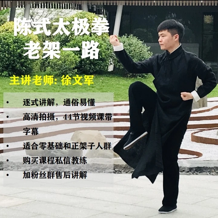 陈式太极拳老架一路（精讲+资深版）