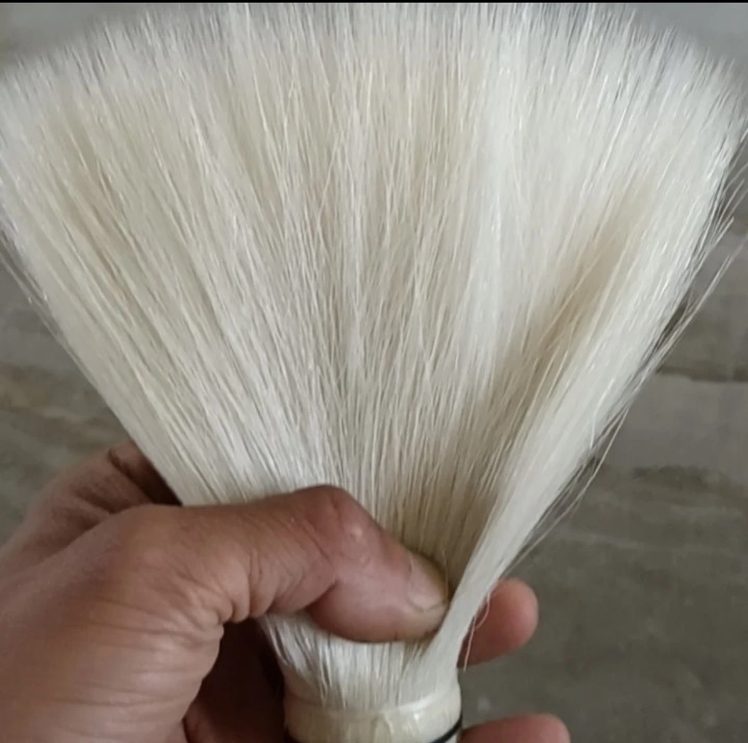 林氏笔庄 2号秒拍链接