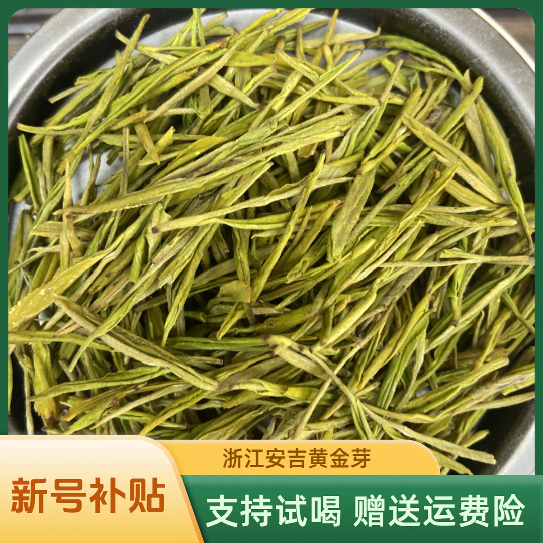 〖新号补贴〗B58 雨前黄金芽 豆香味 浓香耐泡 引流款