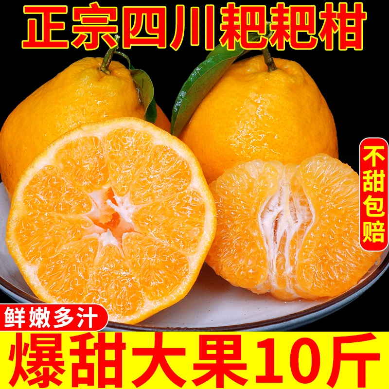 四川春见耙耙柑粑粑柑正宗水果新鲜整箱当季武胜大雅柑10斤装包邮
