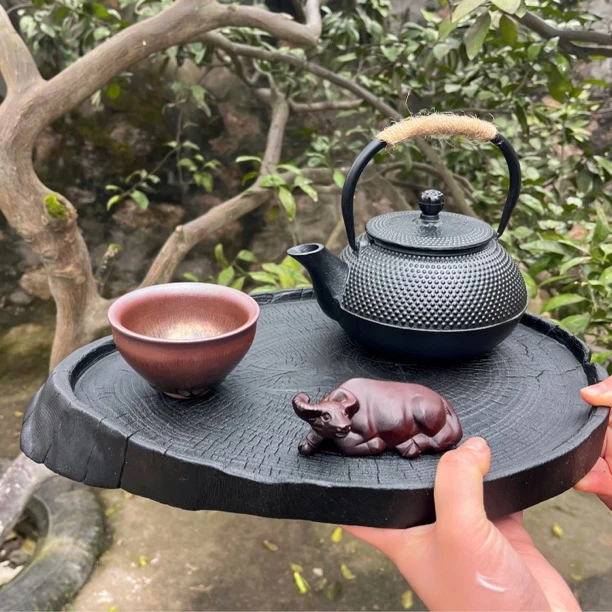 香樟木碳化茶盘随形诧寂风干泡台实木花盆壶承底座纯手工带边茶盘