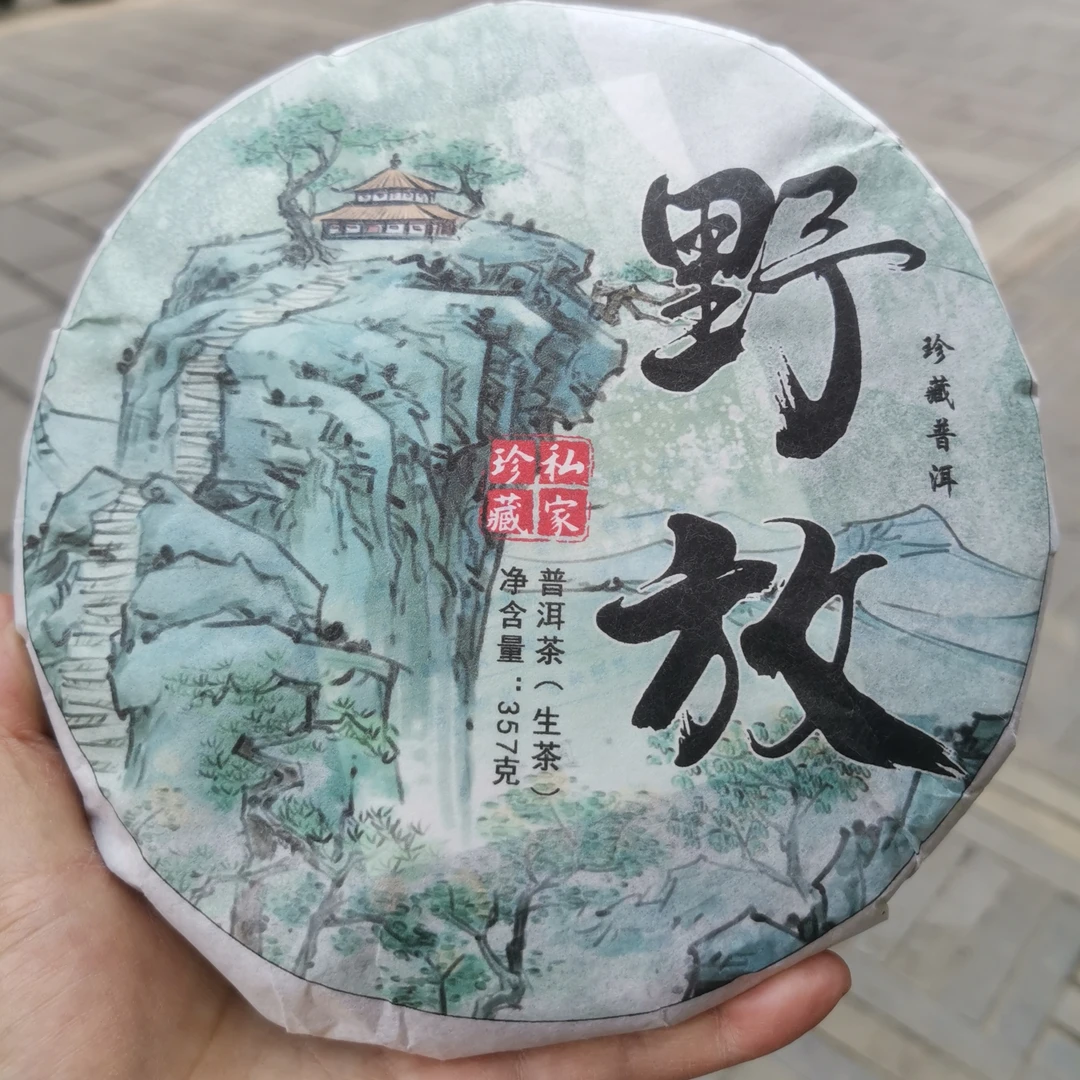 普洱生茶   野放茶   2020年春  357克／片