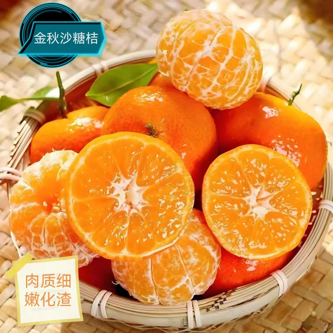 【江西金秋砂糖橘】精品金秋皮薄小橘子香甜多汁现摘现发新鲜水果