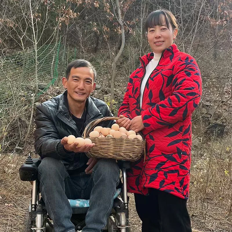 王林小海散养土鸡土鸡蛋农家正宗五谷杂粮笨鸡蛋包邮